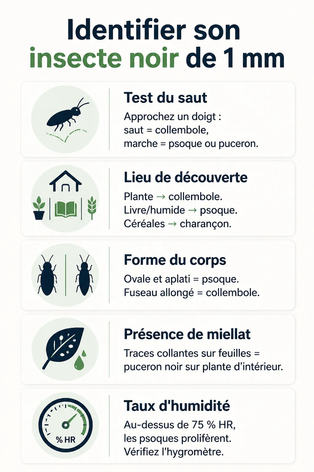 Identifier son insecte noir de 1 mm : Test du saut, Lieu de découverte, Forme du corps, Présence de miellat, Taux d'humidité