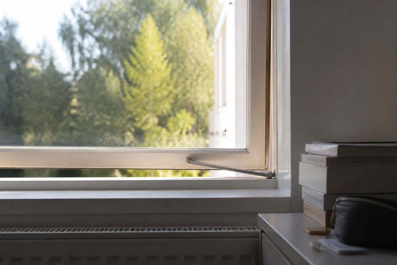Mouche dans la maison : signification et vraies causes